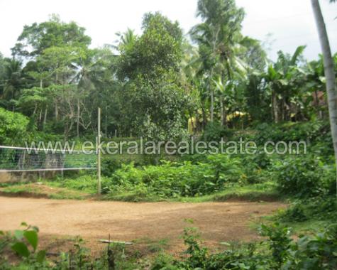 Agriculture land for sale in trivandrum kattakada